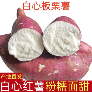 繁浮白心红薯 9斤新鲜正宗板栗薯白瓤农家地瓜粉糯干面番薯爆皮王白薯 白薯 精选9斤 大果【图片 价格 品牌 报价】-京东