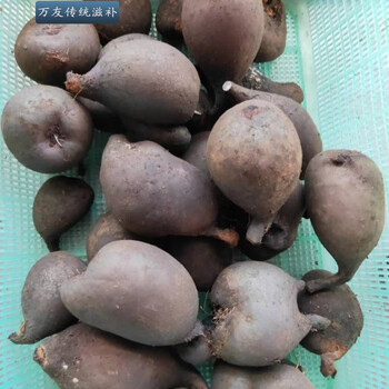 雷震500克顺丰内廷上用 新鲜乌灵参500g【图片 价格 品牌 报价】-京东