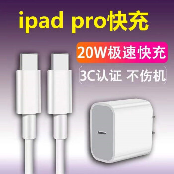 子蓝苹果ipad Pro充电器w快充air4 Mini6 11 12 9 平板电脑数据线套装苹果w充电器 双type C数据线2米 图片价格品牌报价 京东