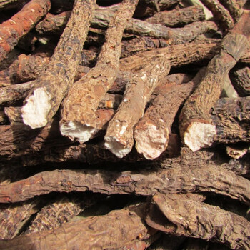 北京同仁堂原料岩白菜云南野生中药材岩白菜岩七矮白菜石白菜内廷上用