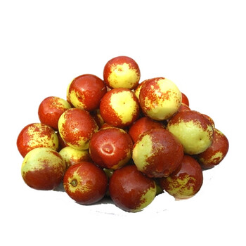 枣树苗嫁接枣子树苗沾化冬枣苗茶壶枣葫芦枣南方北方种植 鸡蛋枣 60cm