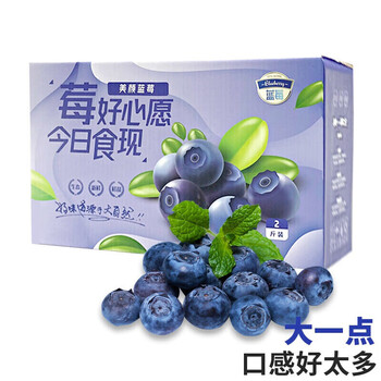 达林果蔬云南蓝莓新鲜当季水果蓝梅鲜果整箱孕妇大果 3盒装(精选中果)