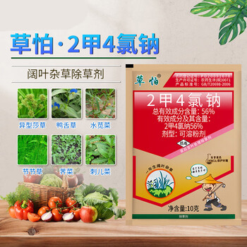 二甲四氯钠2甲4氯水稻小麦玉米草坪阔叶杂草节节草笔杆草除草剂10g