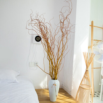 麦桑荷金龙柳德国进口鲜切枝条水培植物上海鲜花速递同城七夕顺丰进口