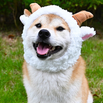 人宠物猫咪狗狗头套抖音网红可爱搞怪变身头饰品柴犬柯基帽子 小绵羊