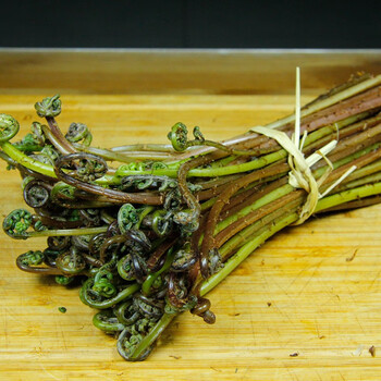 顺丰速运东北特产猴腿菜山菜新鲜现摘现发2斤装