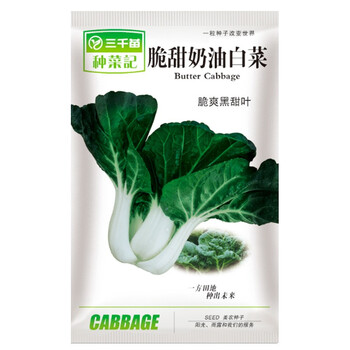 奶白菜种子矮脚中脚奶油小白菜种籽口感好四季春季秋季青菜菜种大全家庭阳台盆栽菜园大田种植农家蔬菜孑奶白菜10克 图片价格品牌报价 京东