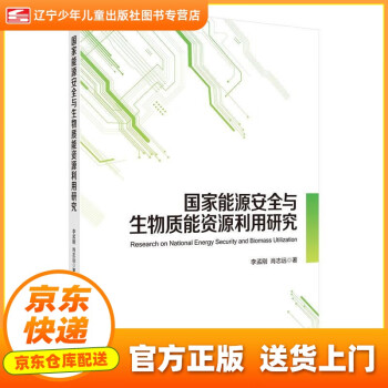 【自营京送 正版书籍】国家能源安全与生物质能资源利用研究 李孟刚,肖志远 科学出版社 word格式下载