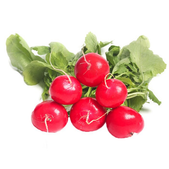 新鲜樱桃萝卜小迷你小红萝卜仔生吃蔬菜沙拉食材轻食色拉原料精选装3