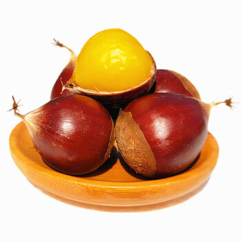 庆元锥栗 生 生栗子 小板栗 2018 锥粟尖圆栗非建瓯毛栗 新鲜 生鲜品