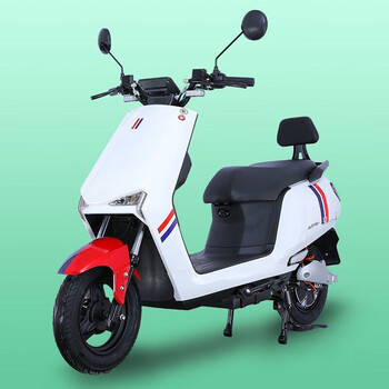 zhixun国标电动车长续航爬坡电瓶车智能双碟刹高速电摩升级豪华版英伦