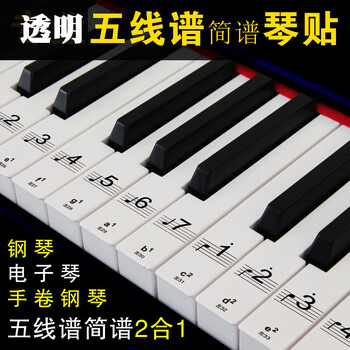 电子琴键盘贴键61键54键贴音位贴音阶贴通用透明五线谱简谱键位贴电钢琴手卷钢琴贴纸防透明白键61键54通用 图片价格品牌报价 京东 电子琴键盘贴键61键54键贴音位贴音阶贴通用透明五线谱简谱键位贴电钢琴手卷钢琴贴纸防透明白键61键54通用 图片价格品牌报价 京东