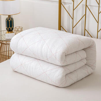 棉絮垫被床垫被子被芯褥子棉被子冬天加厚学生宿舍春秋冬被被褥180200