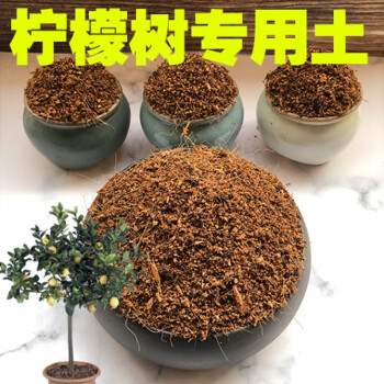 柠檬树土柠檬树专用盆栽土家用阳台营养土酸性沙质土绿植种植肥料柠檬树土5 6kg 图片价格品牌报价 京东