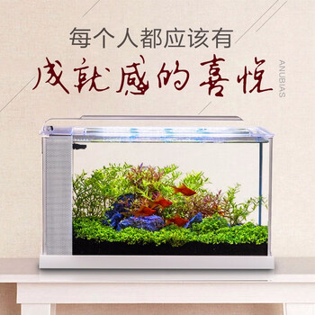 阿诺比桌面免换水鱼缸客厅小型生态水草缸家用超白热带鱼金鱼水族箱a 368白色标配 52 19 30cm 图片价格品牌报价 京东