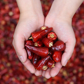 【爱蜀味子弹头辣椒】爱蜀味 四川地道中辣超香子弹头辣椒90g 干辣椒 