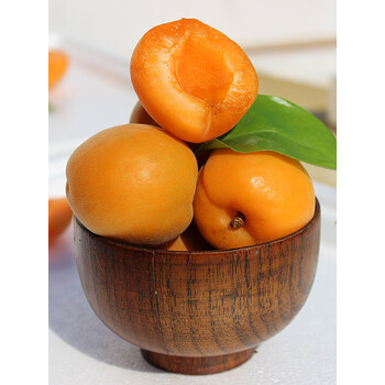 鞠昵鲜现货2023年当季新鲜水果大黄杏5斤整箱现摘现发红杏酸甜杏子3斤