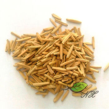 霜魄沙漠玫瑰种子沙漠玫瑰泰国多色进口10粒盆栽花卉种子adenium