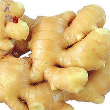 老姜小笨姜生鲜姜小黄姜山东农家窖藏土姜火姜月牙无硫熏1500g
