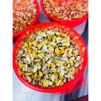 潮汕特产 新鲜蚬肉 鱼饭 红肉米 薄壳米250 薄壳 海瓜子 壳 海瓜子