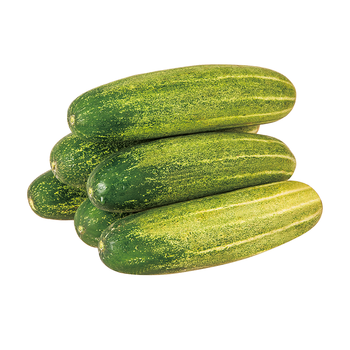 农家自种旱黄瓜福建本地当季新鲜蔬菜土黄瓜无刺青瓜孕妇生吃吊瓜