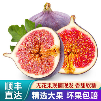 云南无花果现摘紫皮无花果新鲜红皮无花果新鲜水果精选1500g 图片价格品牌报价 京东