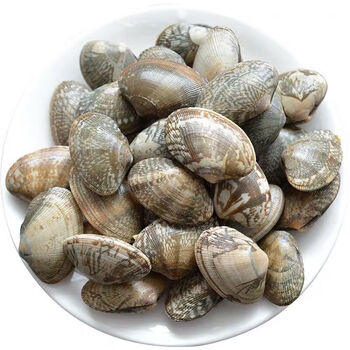 花甲鲜活蛤蜊杂色蛤贝类海鲜烧烤夜市花蛤蜊查威布尔两斤装尝鲜
