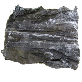 zoci海带批发新货无沙干整条厚实日晒福建霞浦丝结干货海产品一件 干