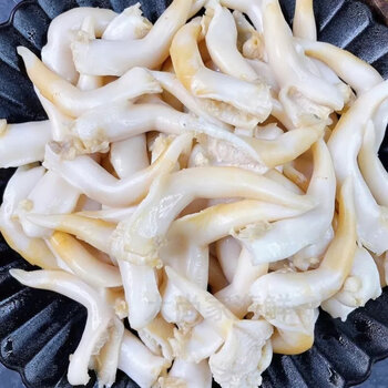 鸟贝肉特大号鲜活去壳去沙金钩鸟贝雀螺肉鸟蛤捞汁 1斤【图片 价格