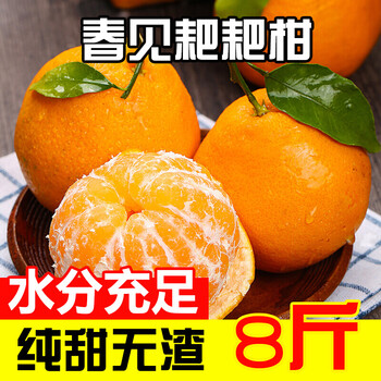 开心佬春见产地(玩得尽兴的经典句子)