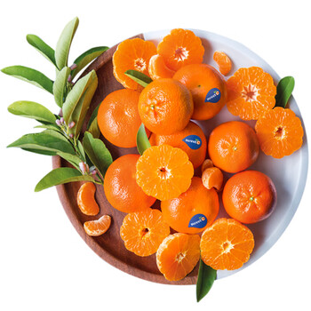 巨无霸果4粒尝鲜装 单果重250g起 生鲜橘子 中秋水果 软皮蜜柑 500g装