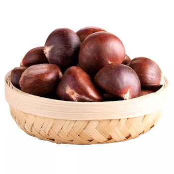 崔芝(cuizhi)山东沂蒙山老树小油栗子5斤板栗生新鲜栗子粉糯甜生板栗