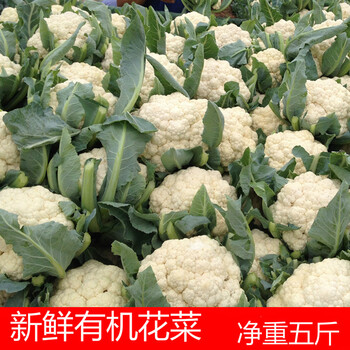 花菜新鲜菜花5斤当季农家自种花椰菜蔬菜白花菜新鲜蔬菜 图片价格品牌报价 京东
