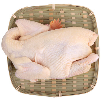 900g 凤中皇供港清远鸡养殖365天以上 煲汤老母鸡月子鸡 清远麻鸡土鸡