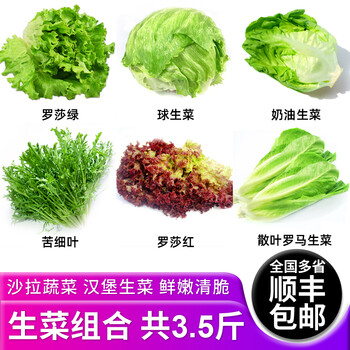 玫栀新鲜生菜组合35斤沙拉蔬菜汉堡球生菜生吃火锅混合食材1750g