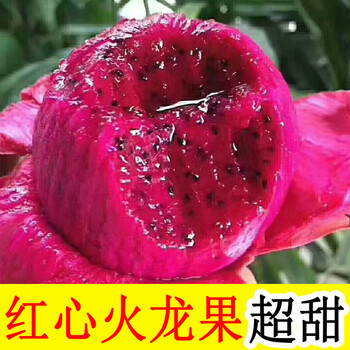 蔬教授广西正宗金都一号红心火龙果新鲜应季水果5斤kg中果811个