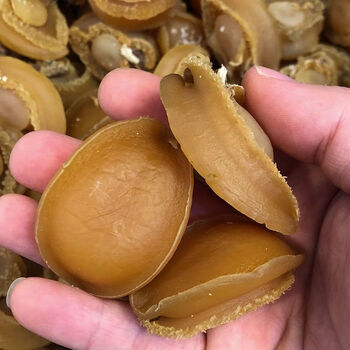 食怀鲍鱼干货30头精选大连淡干鲍鱼干特大佛跳墙煲汤野生海鲜干货 30