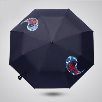 雨伞十大名牌中国图片