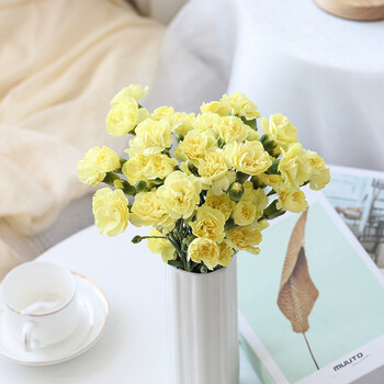 界南鲜花 多头康乃馨鲜花云南基地直发妇女节教师节母亲节礼品花束