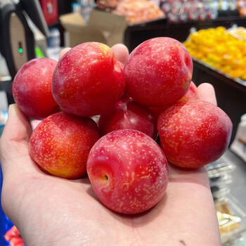 【jd物流现货闪发】 美国樱桃李22f4斤进口李子新鲜孕妇水果 宓蝶 听