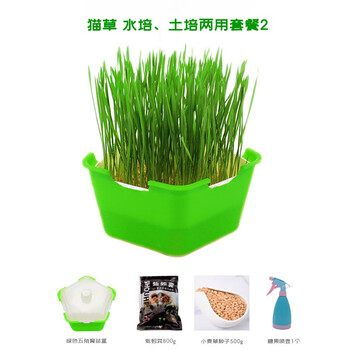 猫草种子土培小麦草种子猫草种籽孑大麦芽苗菜苗无土栽培水培土培猫薄荷草盆栽猫草土培 水培两用套餐 绿 图片价格品牌报价 京东