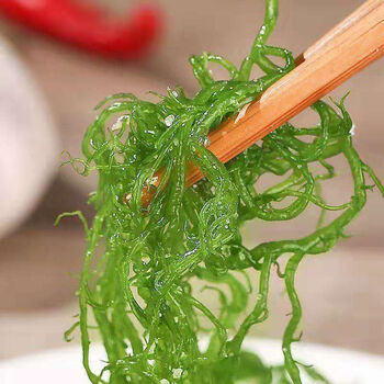 【天然海藻海草】福建龙须菜凉拌菜菜美食 绿色海藻菜5斤