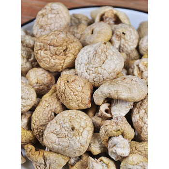 新货石渠 白菌100克四川甘孜州特产菌干货菌菇煲汤料 100g