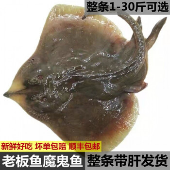 新鲜魔鬼鱼速冻无骨鱼特大号老板鱼海鲜惟纳德5斤