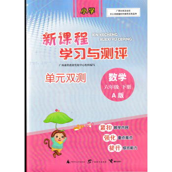 新课程学习与测评单元双测数学六年级下册a版人教版2023春季新版