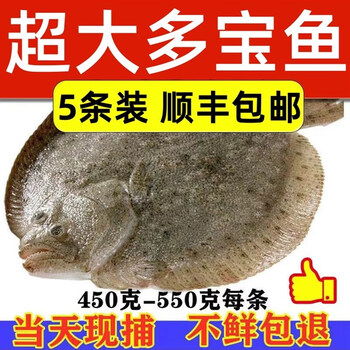 共雅多宝鱼鲜活冷冻比目鱼特大水产整条海鱼商用超值款每条11斤0g14斤