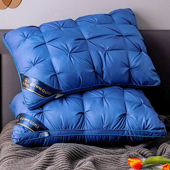 2022新款希尔顿枕头枕芯五酒店一对家用超软高枕不塌专用蓝色中枕两只