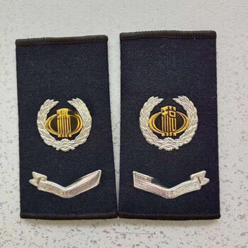 定制适用肩章胸牌胸章领花纽扣子徽章肩牌男女 大衣套肩通用 税务