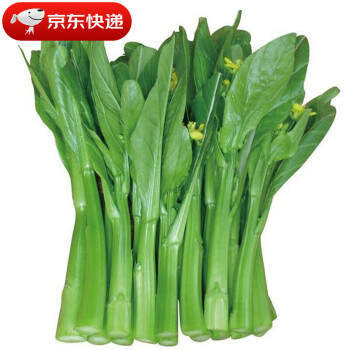 廣東四季新鮮菜心菜薹當季甜菜心菜生鮮蔬菜5斤