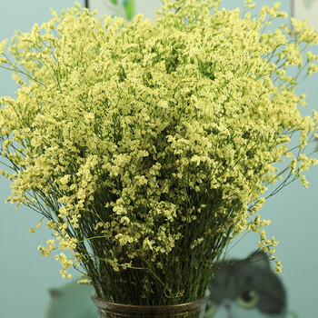水晶草鲜花花束云南鲜花特产一束花自然风干基地直发真花水晶草黄色2
